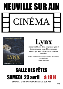 Lynx Copie